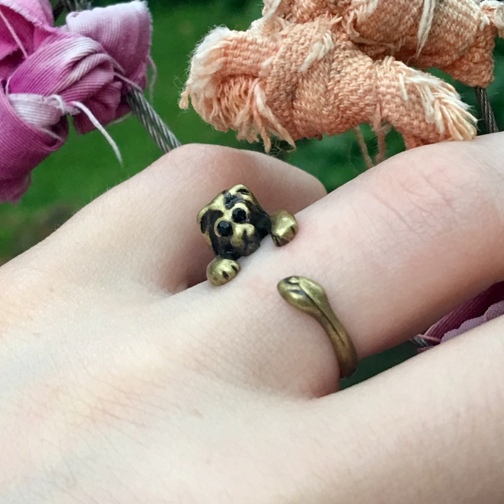 Brass Lion Ring
